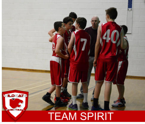 TEAM SPIRIT